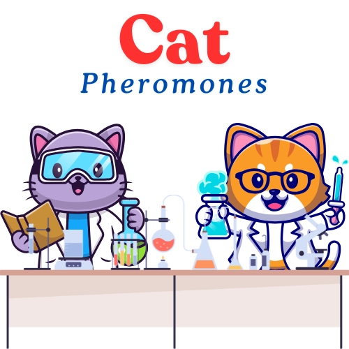 two cats in lab coats behind a chemistry desk with the words "cat pheromones" above them