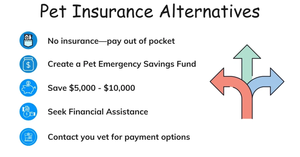 Pet Insurance Alternatives