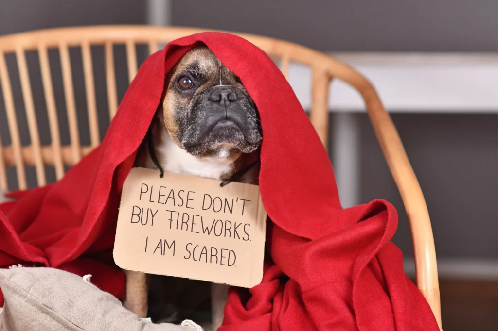 dog noise aversion dog anxiety medication